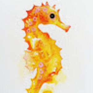 Meet your Posher, Cactus